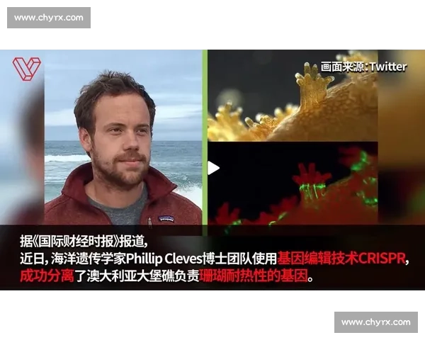 英雄联盟：世界冠军的数据密码，揭秘强队成功的基因